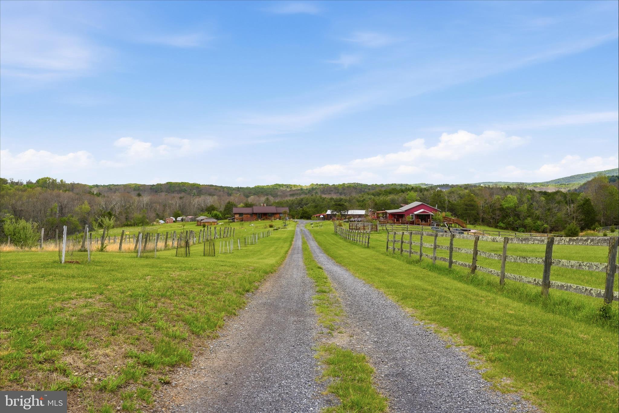 2121 South Pifer Road Star Tannery, VA 22654 - Photo 108 of 126 Driveway