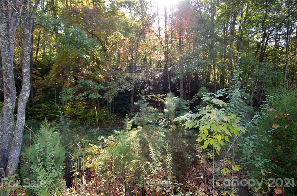 8121 Sugar Hill Road Marion, NC 28752 - Photo 1 of 6 Gallery Image 1