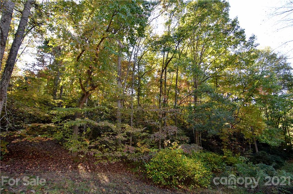 8121 Sugar Hill Road Marion, NC 28752 - Photo 2 of 6 Gallery Image 2
