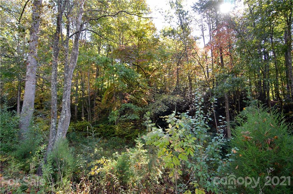 8121 Sugar Hill Road Marion, NC 28752 - Photo 3 of 6 Gallery Image 3