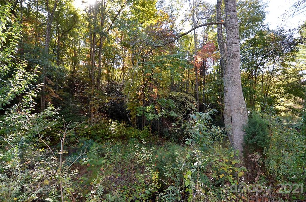8121 Sugar Hill Road Marion, NC 28752 - Photo 4 of 6 Gallery Image 4