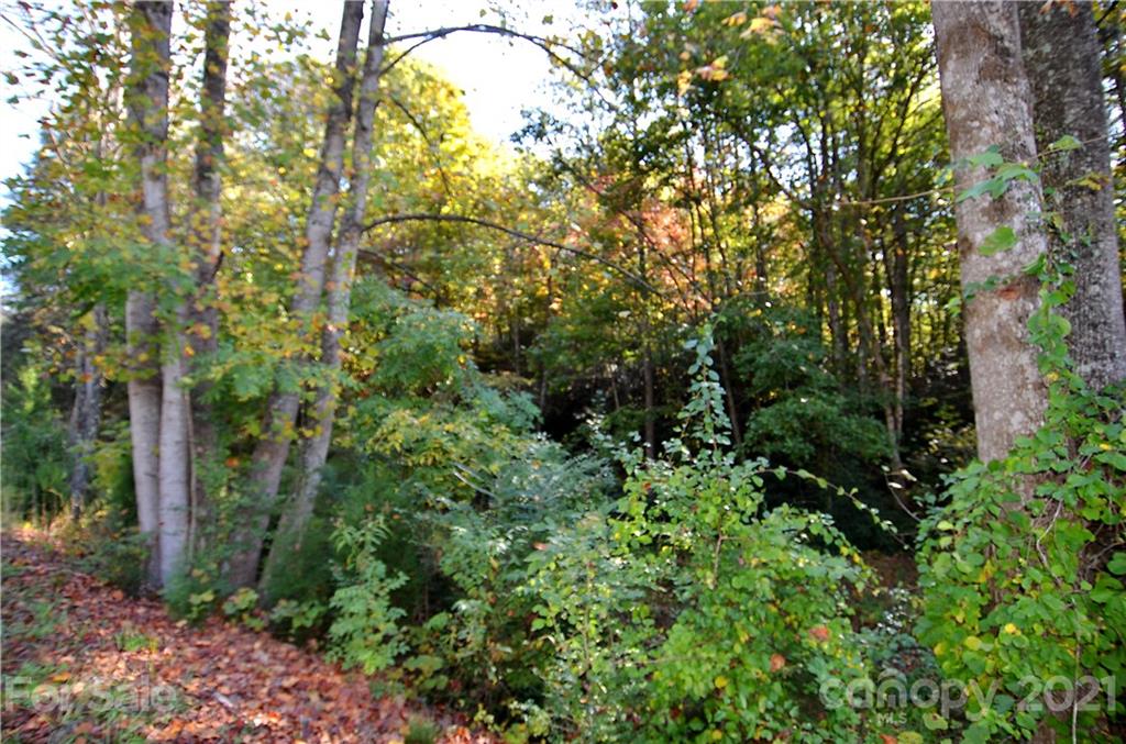 8121 Sugar Hill Road Marion, NC 28752 - Photo 5 of 6 Gallery Image 5