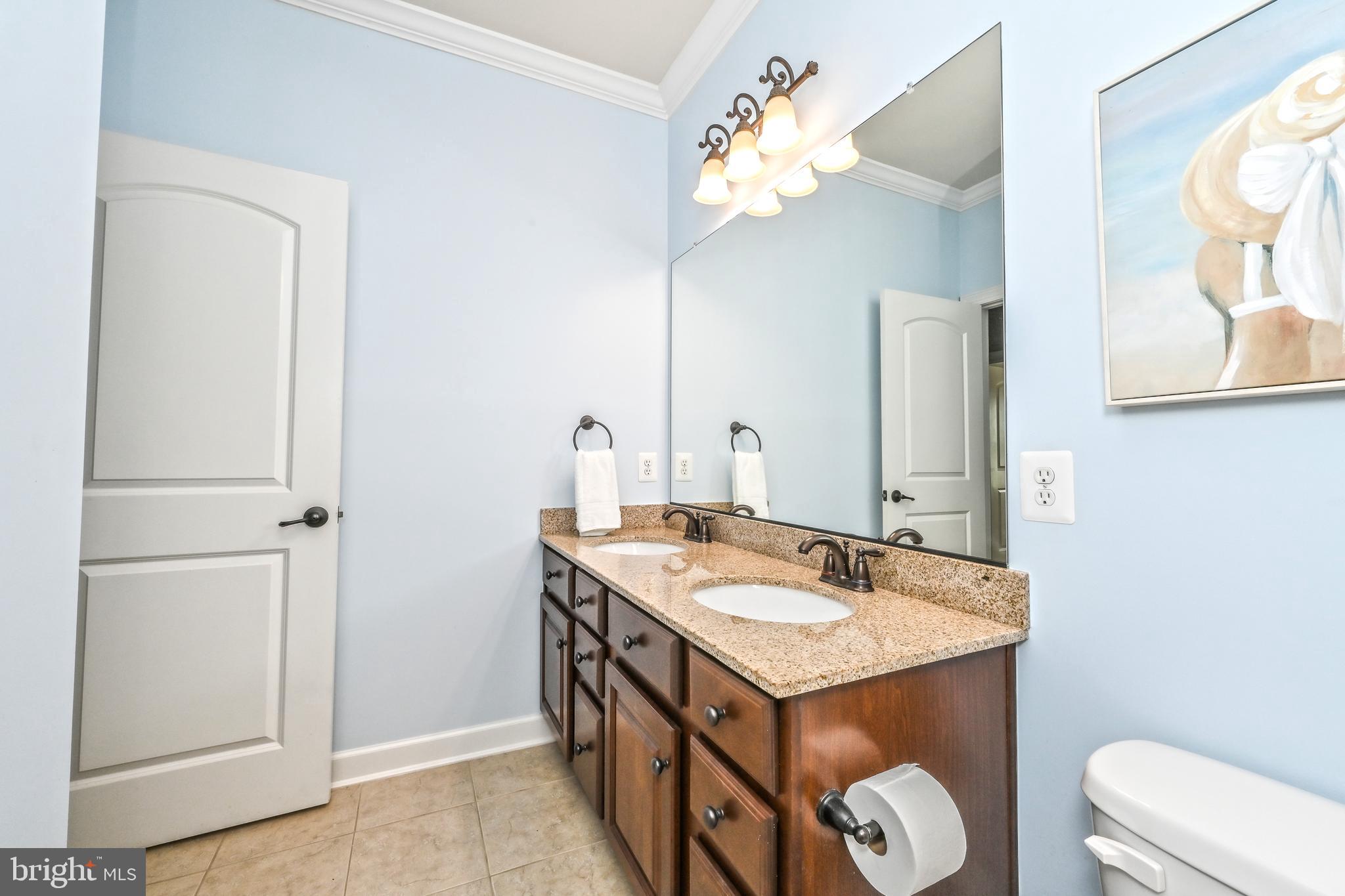 24947 Earlsford Drive Chantilly, VA 20152 - Photo 30 of 40 a bathroom with a sink a toilet and a mirror