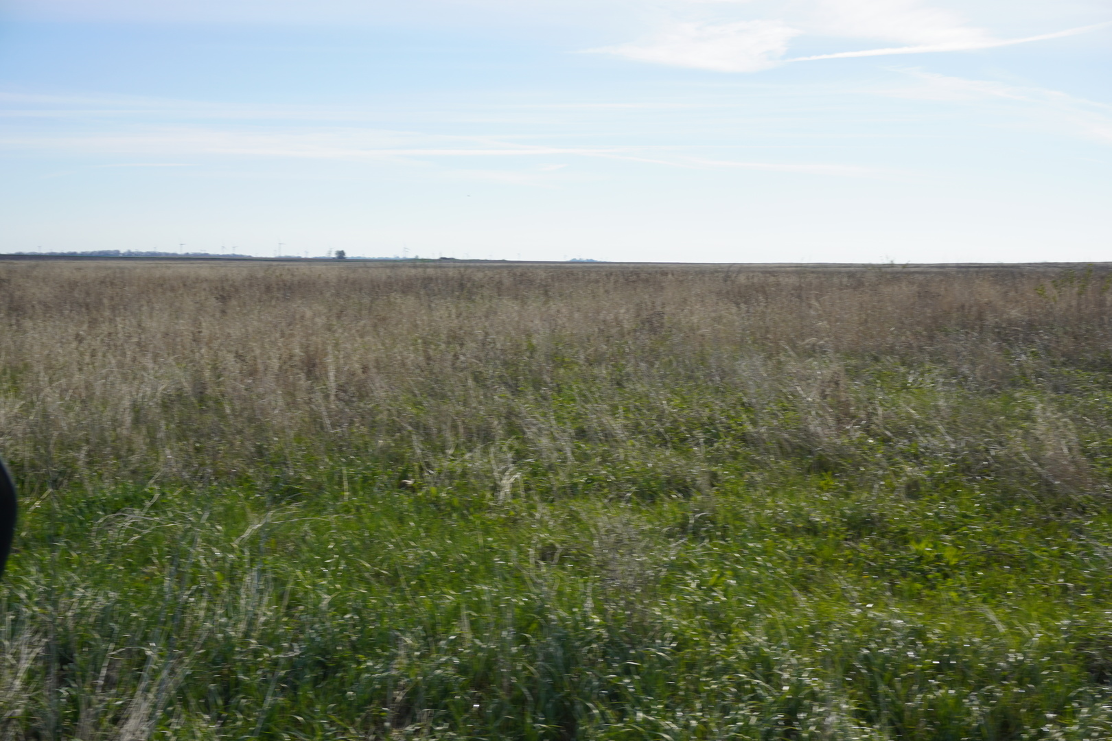 102 Acres /- East 1900 North Road Cullom, IL 60929 - Photo 10 of 16