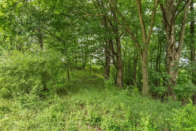 $11,000 | Lot 930 Wishing Well, La Valle, WI 53941