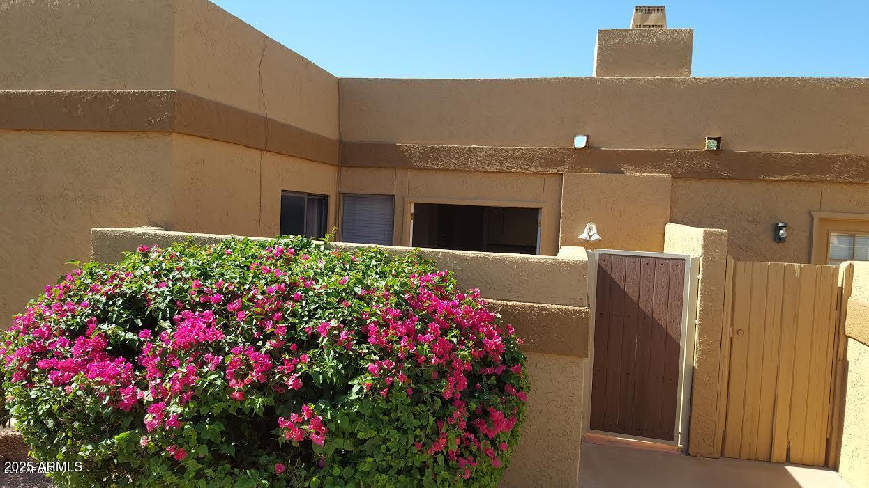 1315 East Susan Lane Tempe, AZ 85288 - Photo 15 of 33 Patio2