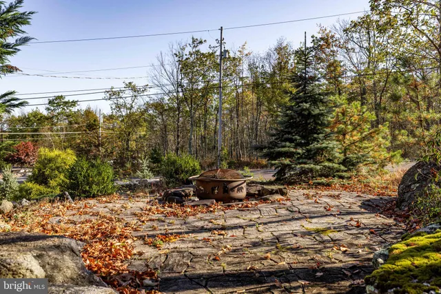 a view of living room with furniture and a fireplace