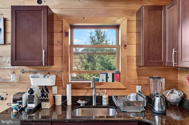 a view of a park with large trees