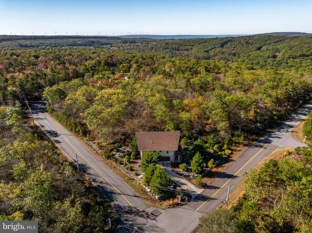 a pathway of a house with a tree