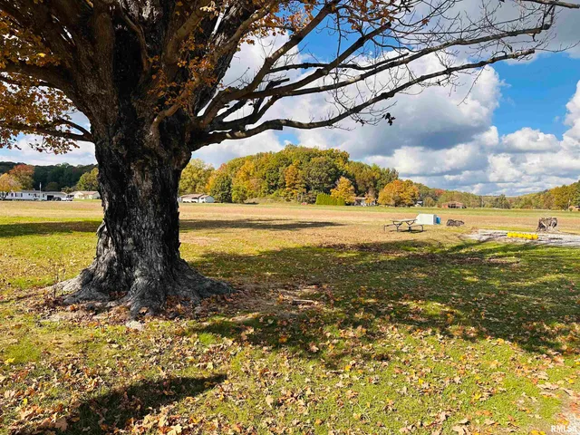 $130,000 | 18564 Old Diswood Road, Tamms, IL 62988