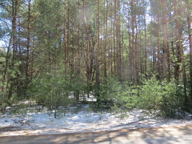 On Country Lane Road Woodruff, WI 54568 - Photo 2 of 4 Gallery Image 2