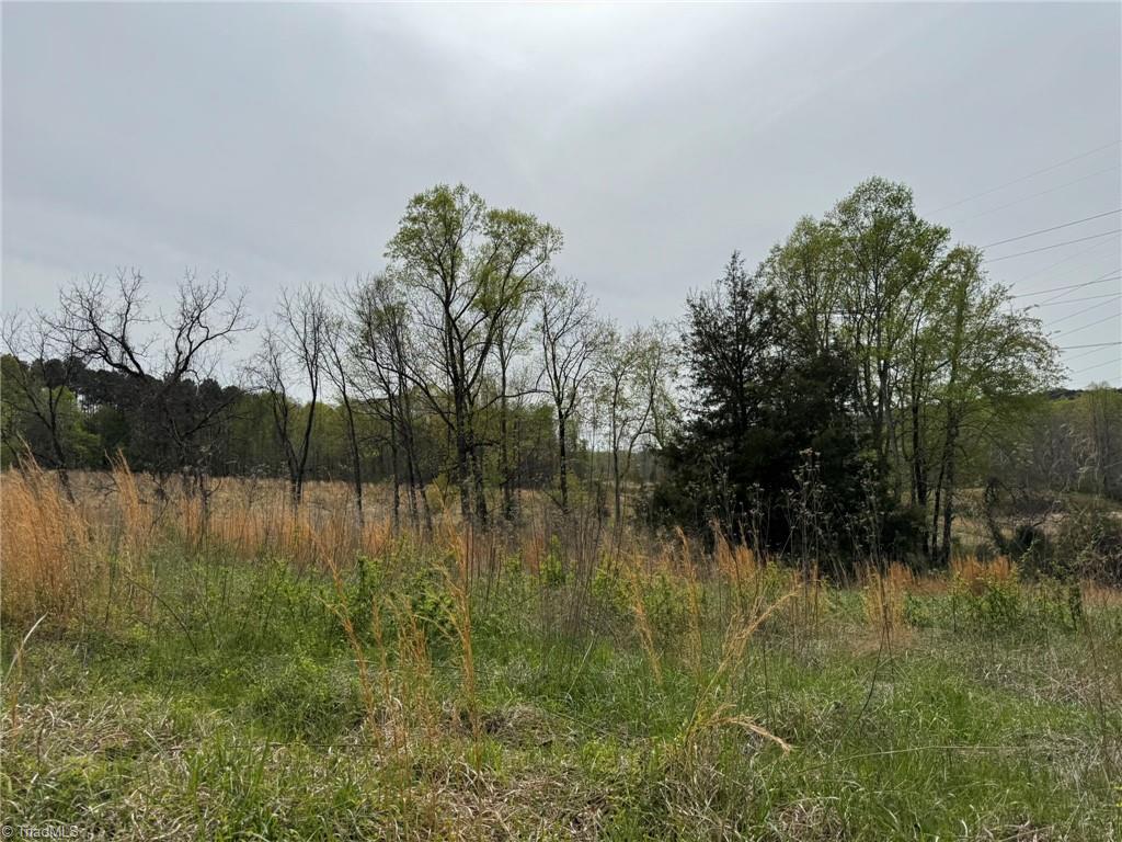 6988 Salem Chapel Road Walnut Cove, NC 27052 - Photo 16 of 38