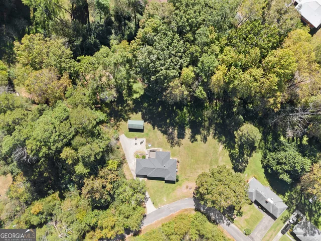 a view of a garden with plants