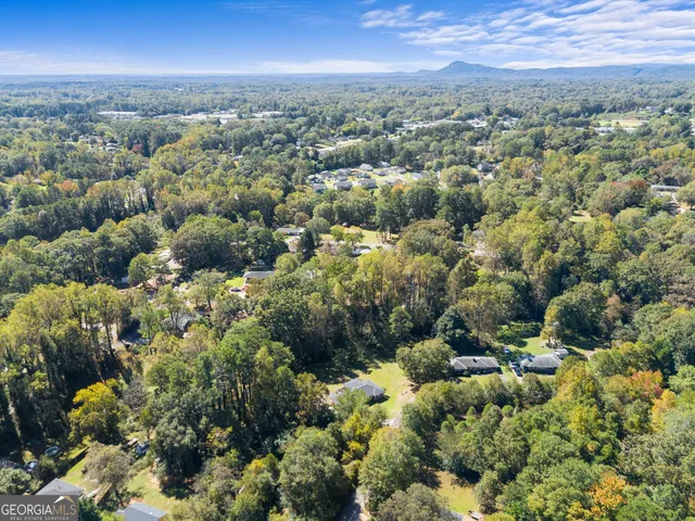 a view of a city with green space