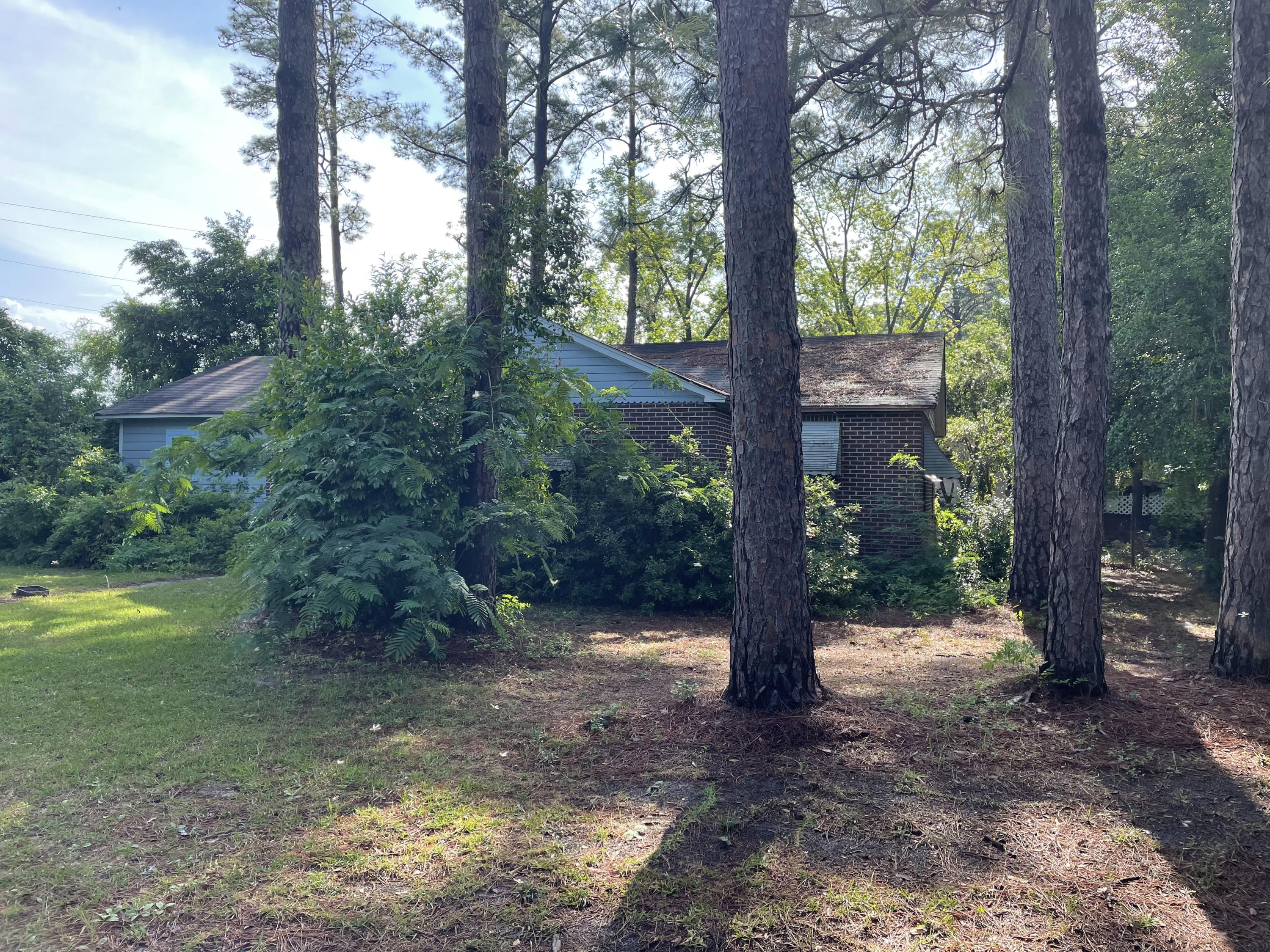 320 George Street Walterboro, SC 29488 - Photo 3 of 3 IMG_1110