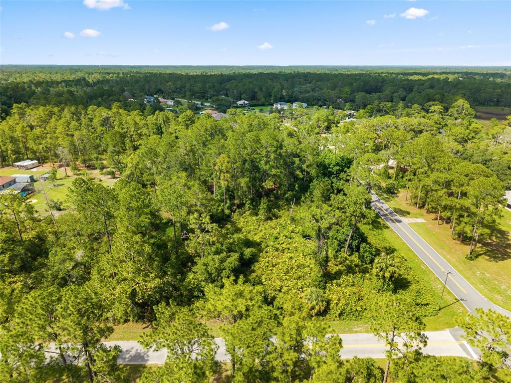 Royal Trails Road Eustis, FL 32736 - Photo 4 of 11 Gallery Image 4