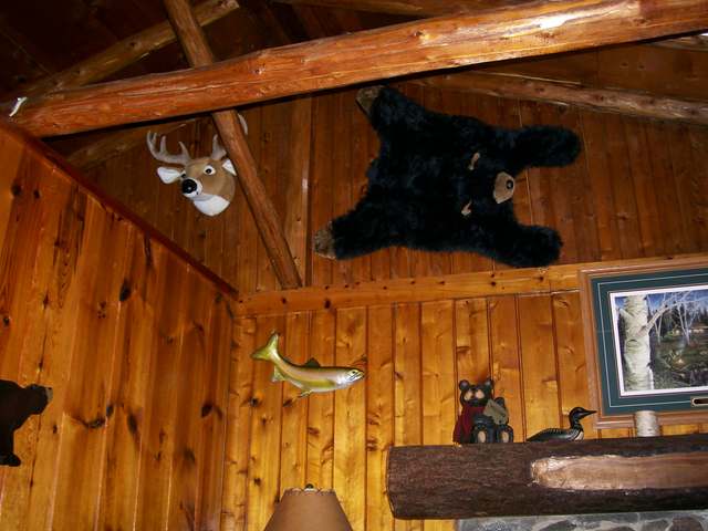 4227 Chain O Lakes Road Eagle River, WI 54521 - Photo 12 of 20 Gallery Image 12