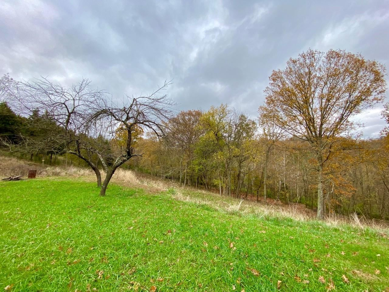 10220 Beil Road Union, KY 41091 - Photo 20 of 39 Gallery Image 20