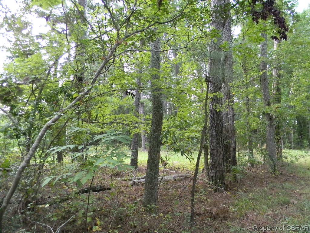 9167 A Guinea Road Hayes, VA 23072 - Photo 2 of 6 Gallery Image 2