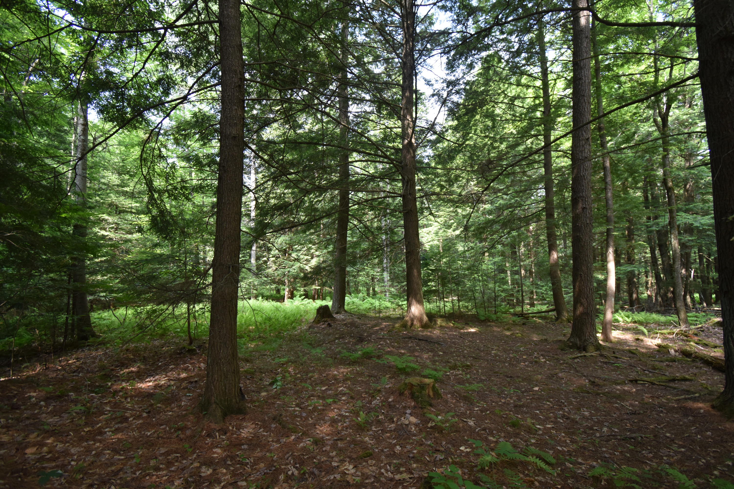 0 Rodrigue Lane Readfield, ME 04355 - Photo 42 of 51 DSC_0550