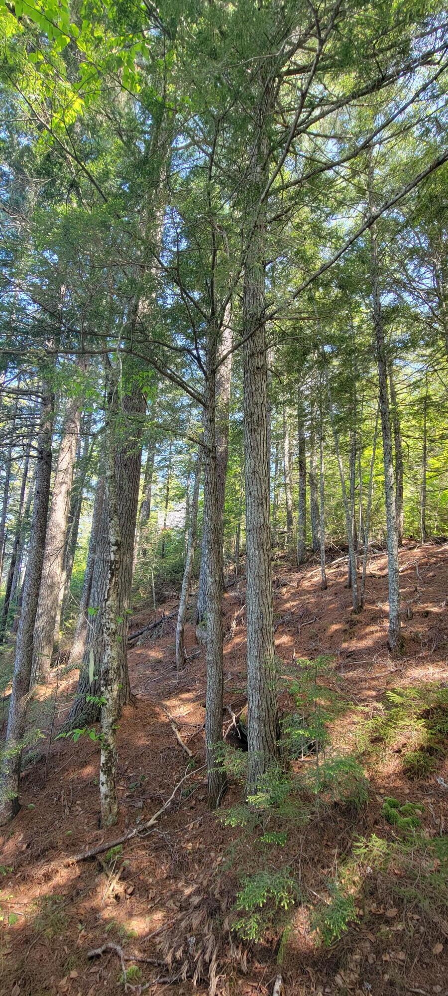 214 Sandy Beach Road Danforth, ME 04424 - Photo 27 of 38 20220607_145313