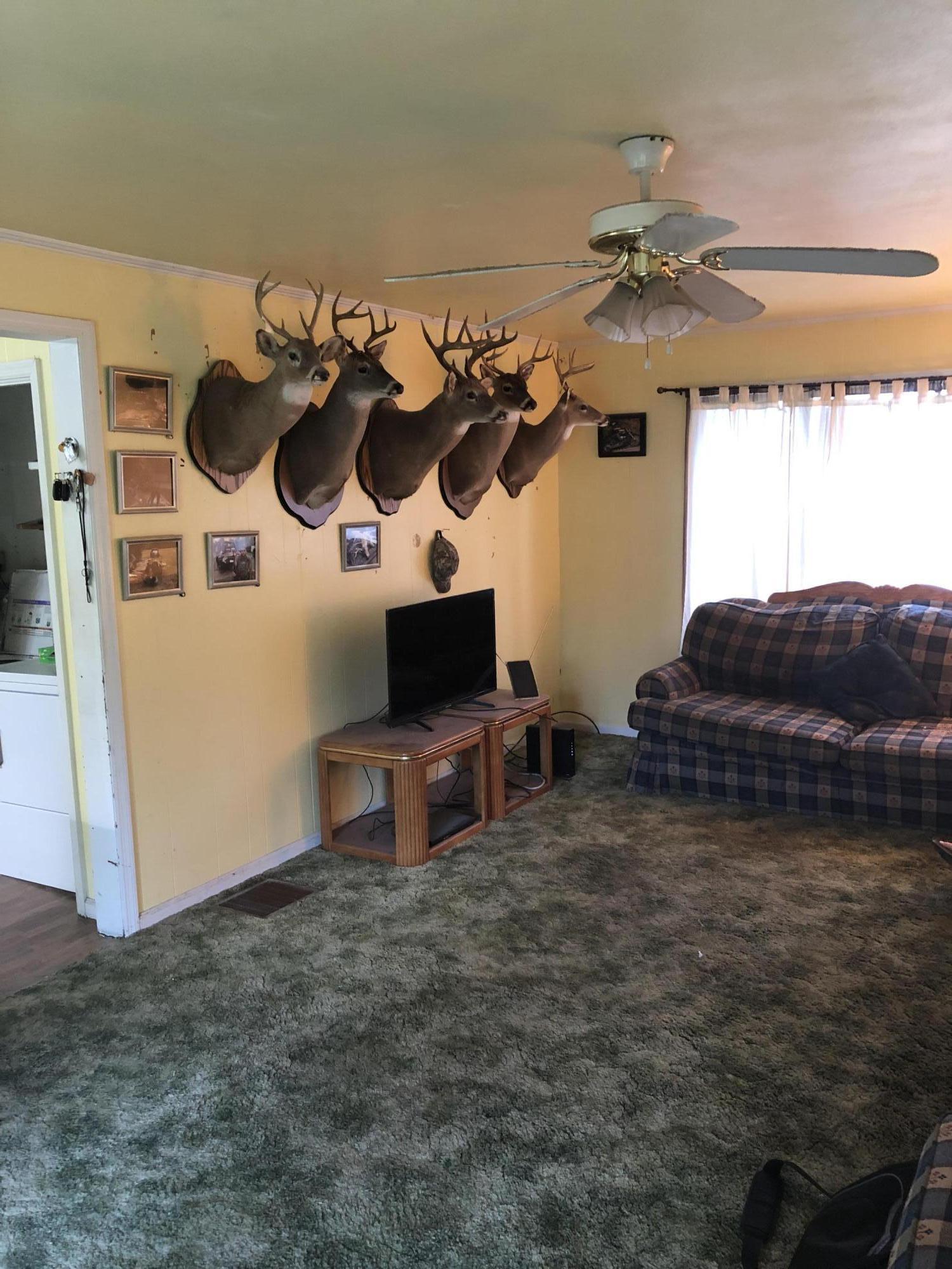 204 Hogan Road Rossville, GA 30741 - Photo 6 of 16 Hogan9