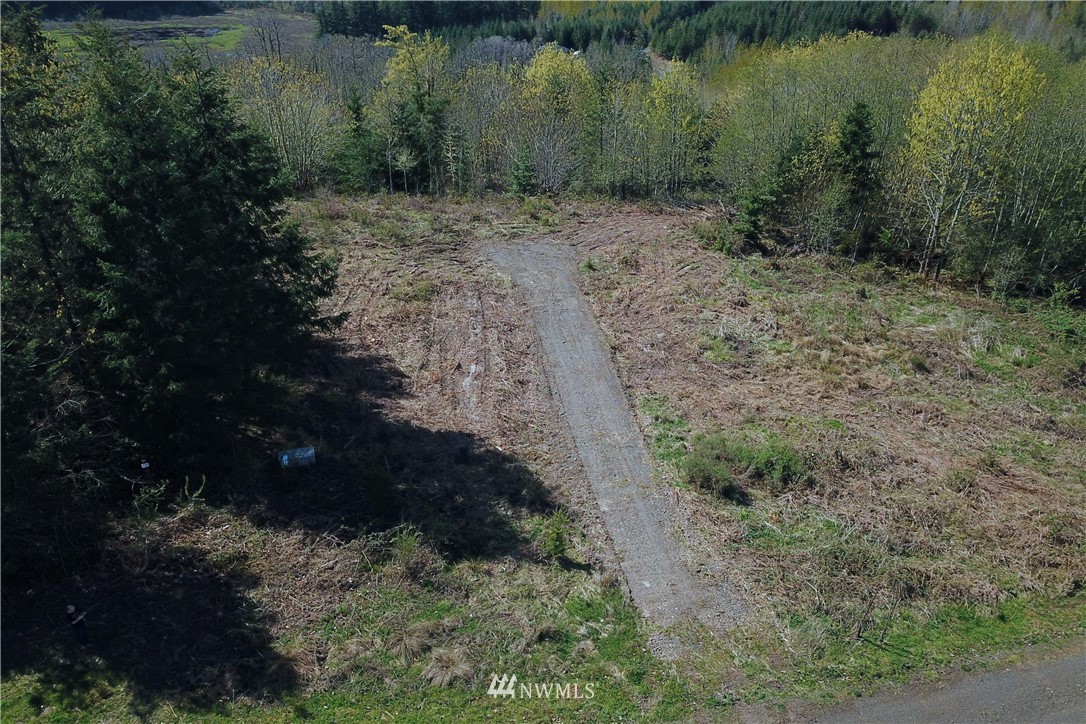 147 Sky Country Road Toutle, WA 98649 - Photo 3 of 9