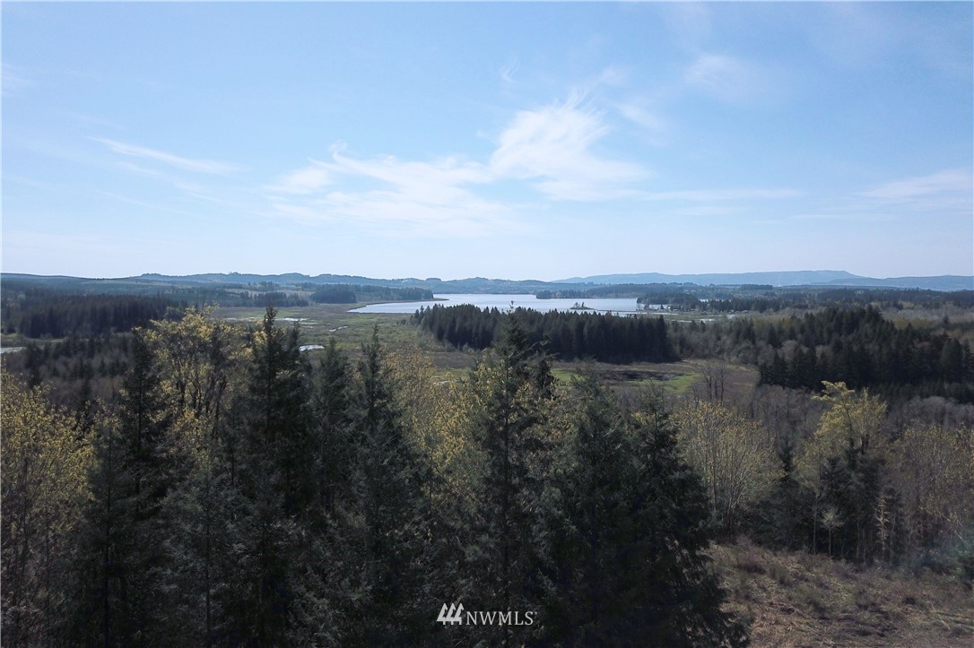 147 Sky Country Road Toutle, WA 98649 - Photo 4 of 9