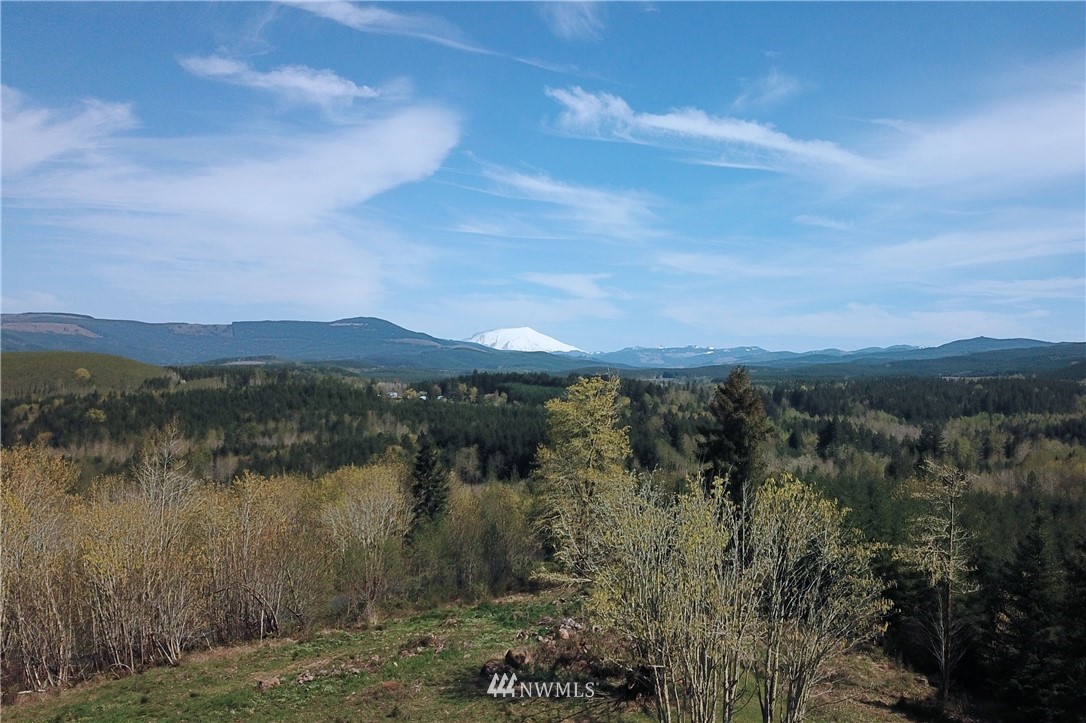 147 Sky Country Road Toutle, WA 98649 - Photo 5 of 9