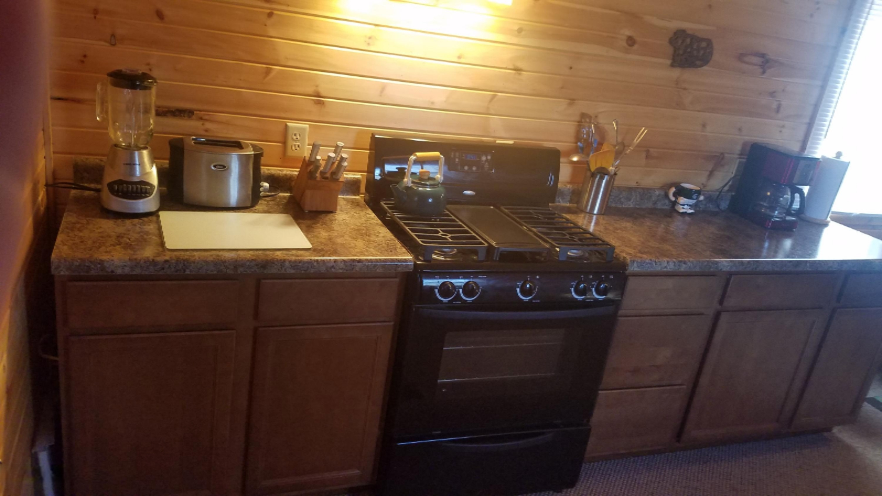 1443 Cutler Road Northeast Blanchard, MI 49310 - Photo 13 of 53 cut i