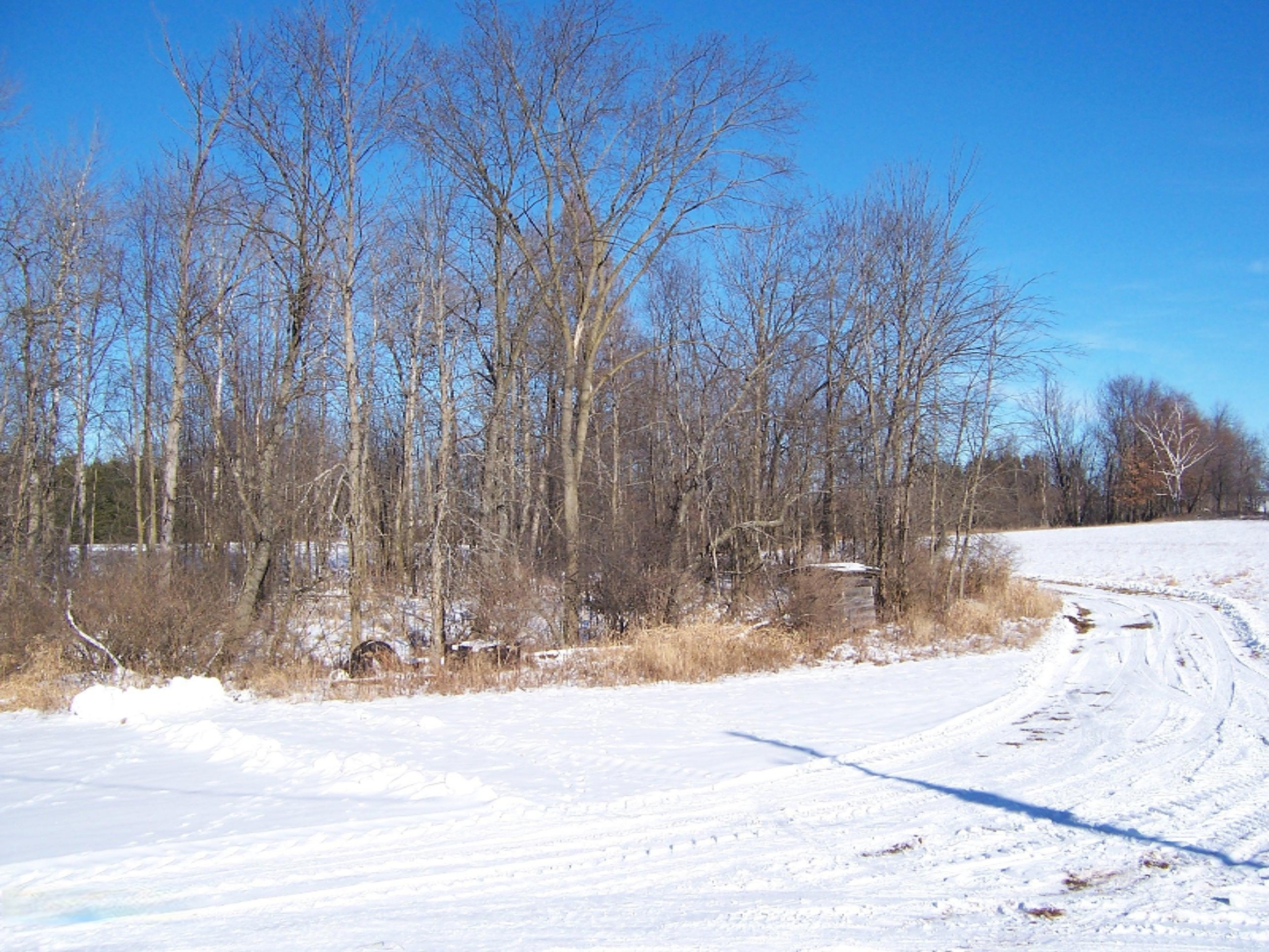 1443 Cutler Road Northeast Blanchard, MI 49310 - Photo 16 of 53 100_4723