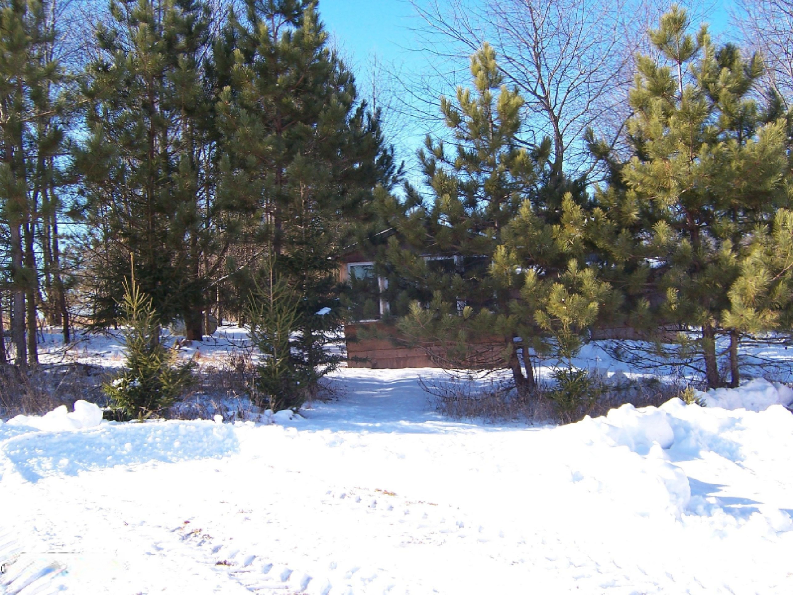 1443 Cutler Road Northeast Blanchard, MI 49310 - Photo 17 of 53 100_4724