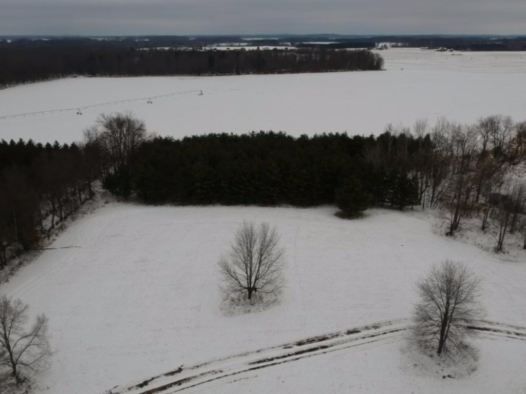 1443 Cutler Road Northeast Blanchard, MI 49310 - Photo 41 of 53 IMG_6014