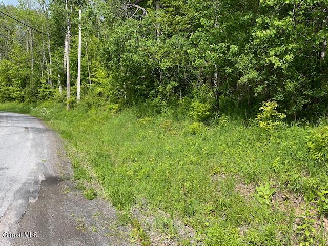 L9 Harrington Road Gilboa, NY 12076 - Photo 6 of 27 IMG_5402