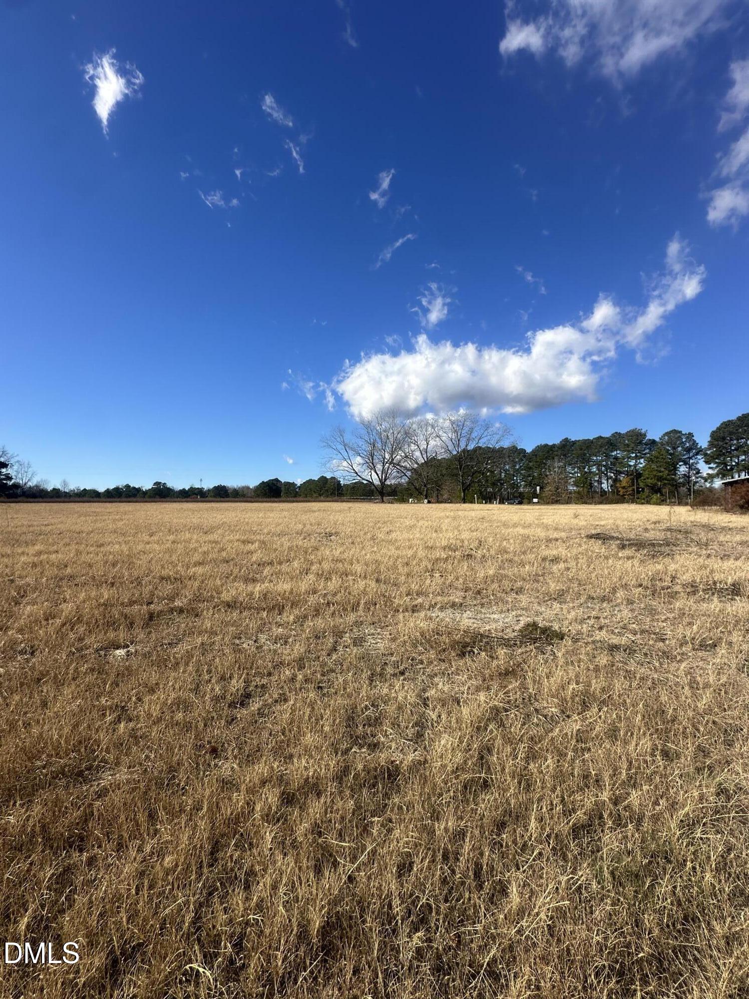 0 Adam Road Four Oaks, NC 27524 - Photo 5 of 12 IMG_9650