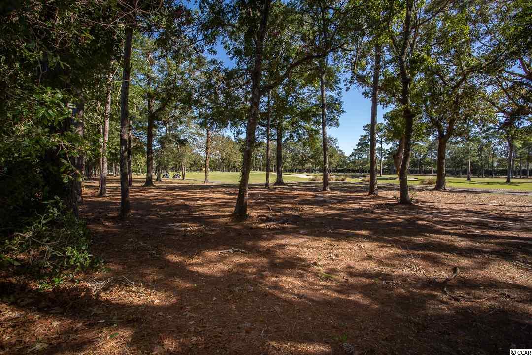 9608 Chestnut Ridge Drive Myrtle Beach, SC 29572 - Photo 5 of 29 Gallery Image 5