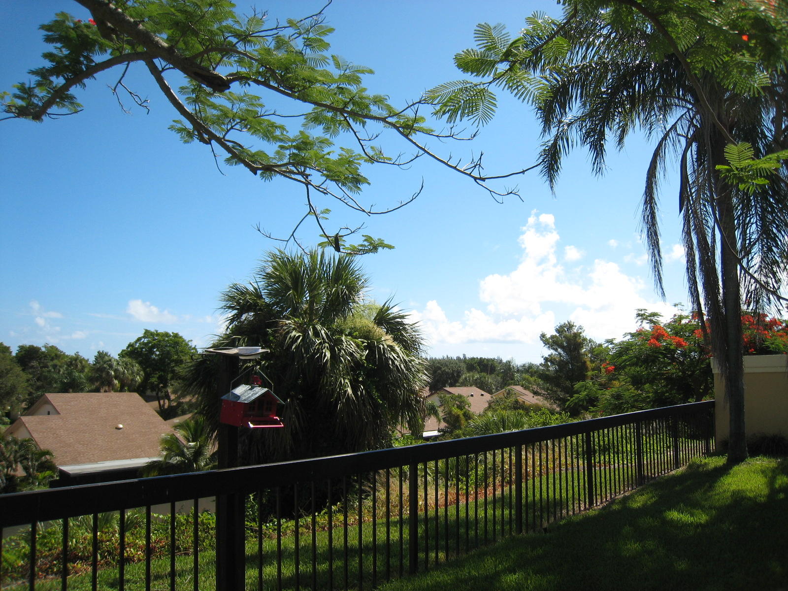 341 Ridge Road Jupiter, FL 33477 - Photo 23 of 24 IMG_0392