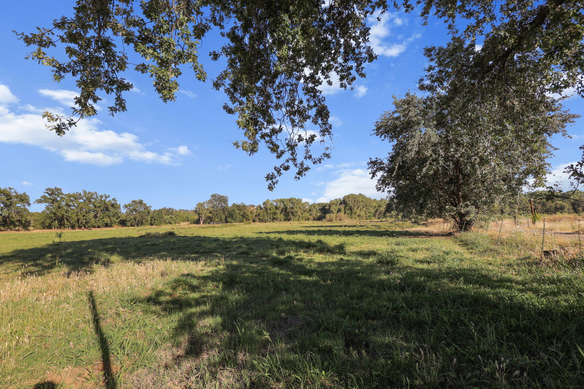 3776 Gover Road Anderson, CA 96007 - Photo 253 of 262 273-web-or-mls-LZ0A0775
