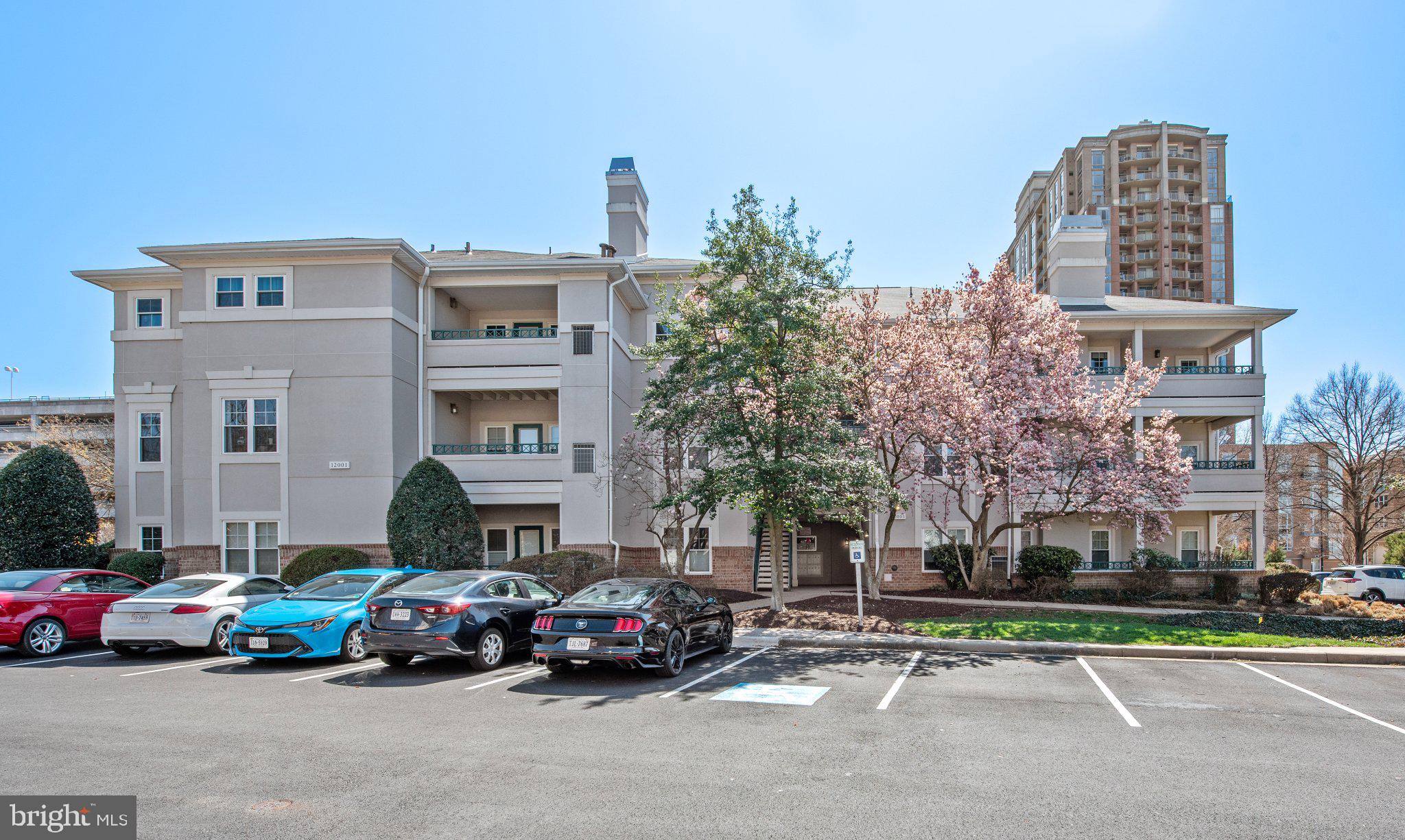 Welcome to Oak Park Condo!