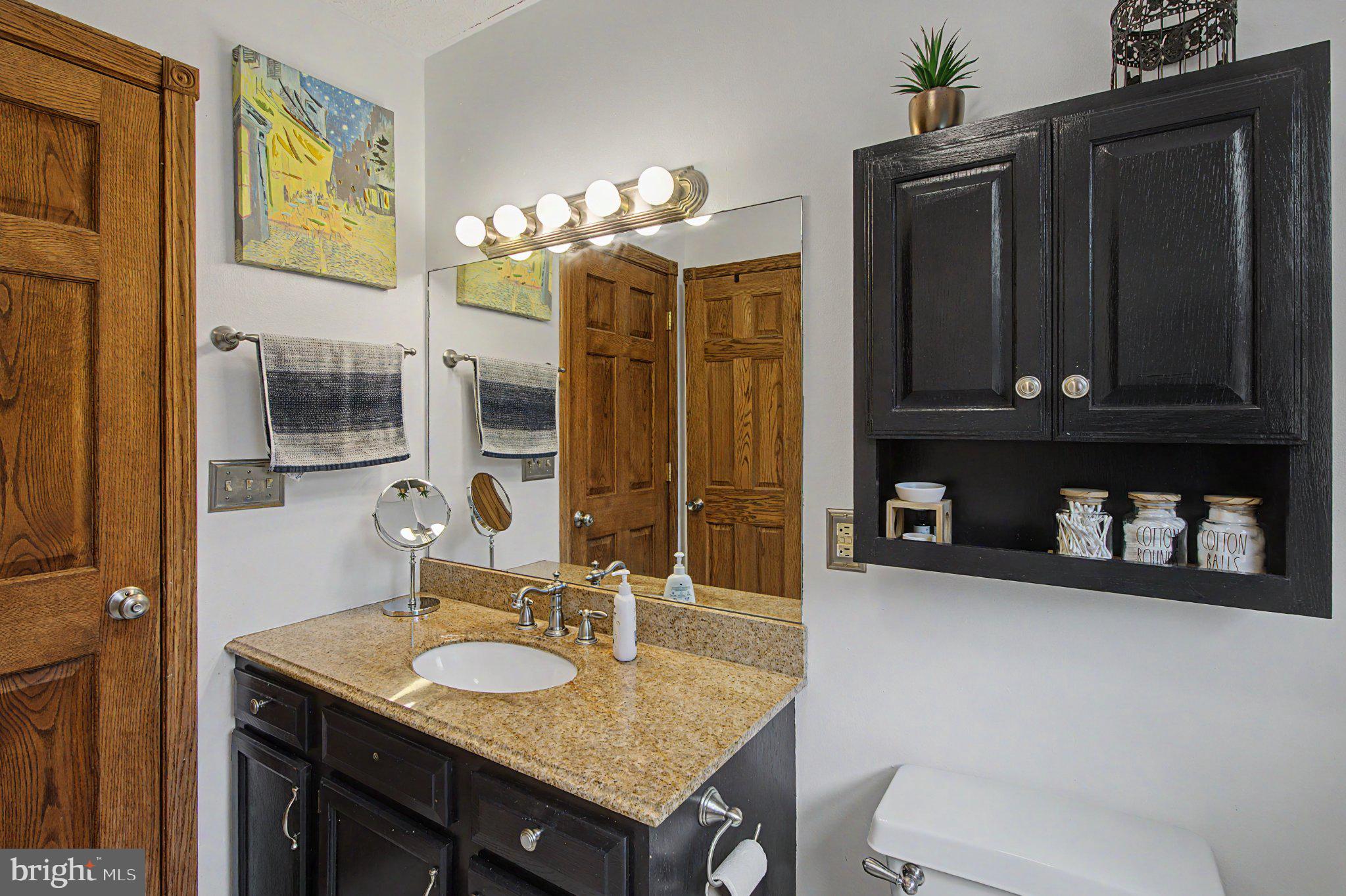 595 Pysell Crosscut Road Oakland, MD 21550 - Photo 35 of 61 Chic bathroom with modern finishes.