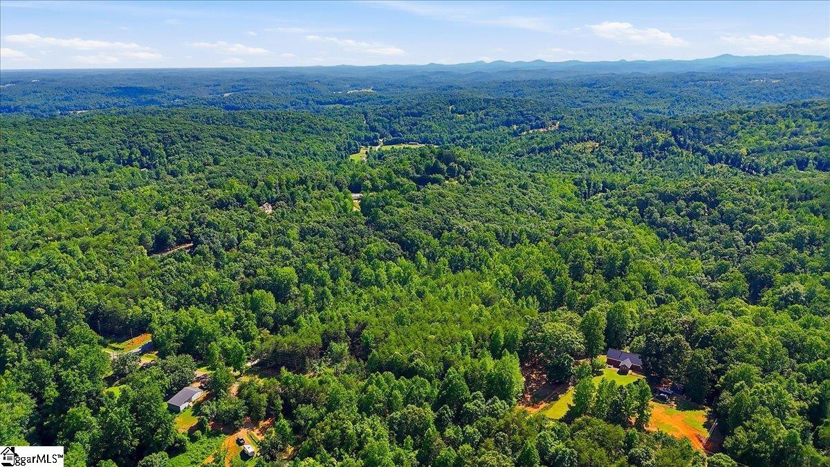 883 Goodwin Bridge Road Travelers Rest, SC 29690 - Photo 8 of 12