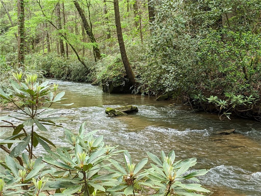 2.29 Acres Rocktree Road Dahlonega, GA 30533 - Photo 1 of 1 Gallery Image 1
