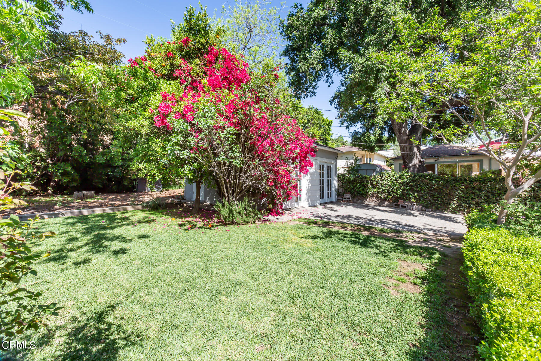 781 Morada Place Altadena, CA 91001 - Photo 40 of 41 a bunch of flowers sitting in yard with green space