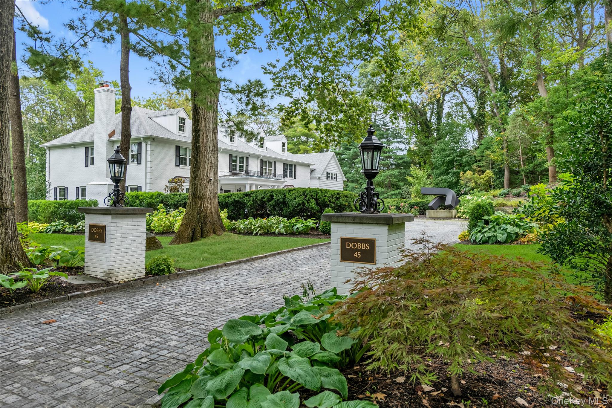 a view of a garden with plants and large trees
