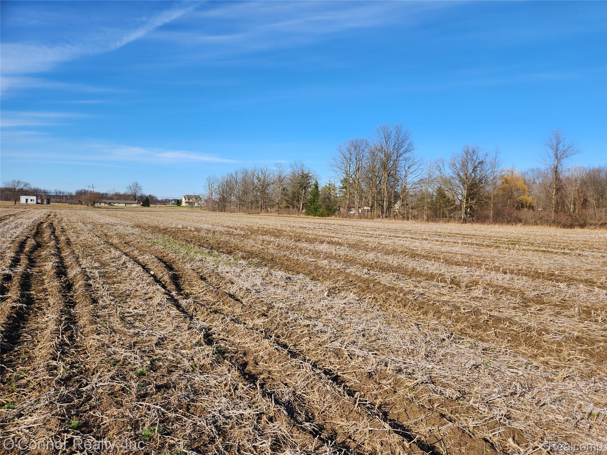 22738 Bordman Road Armada, MI 48005 - Photo 4 of 5 bordman 3.jpg