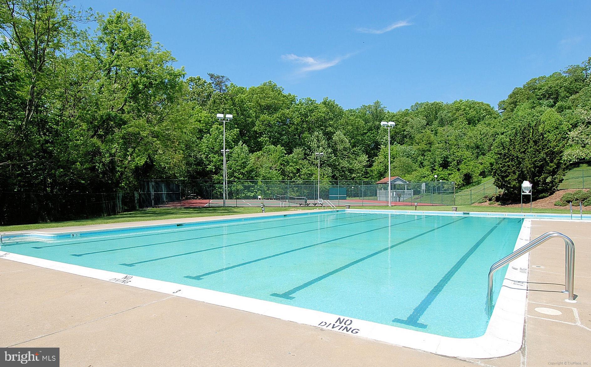 707 Hartford Road Davidsonville, MD 21035 - Photo 72 of 95 Olympic sized pool