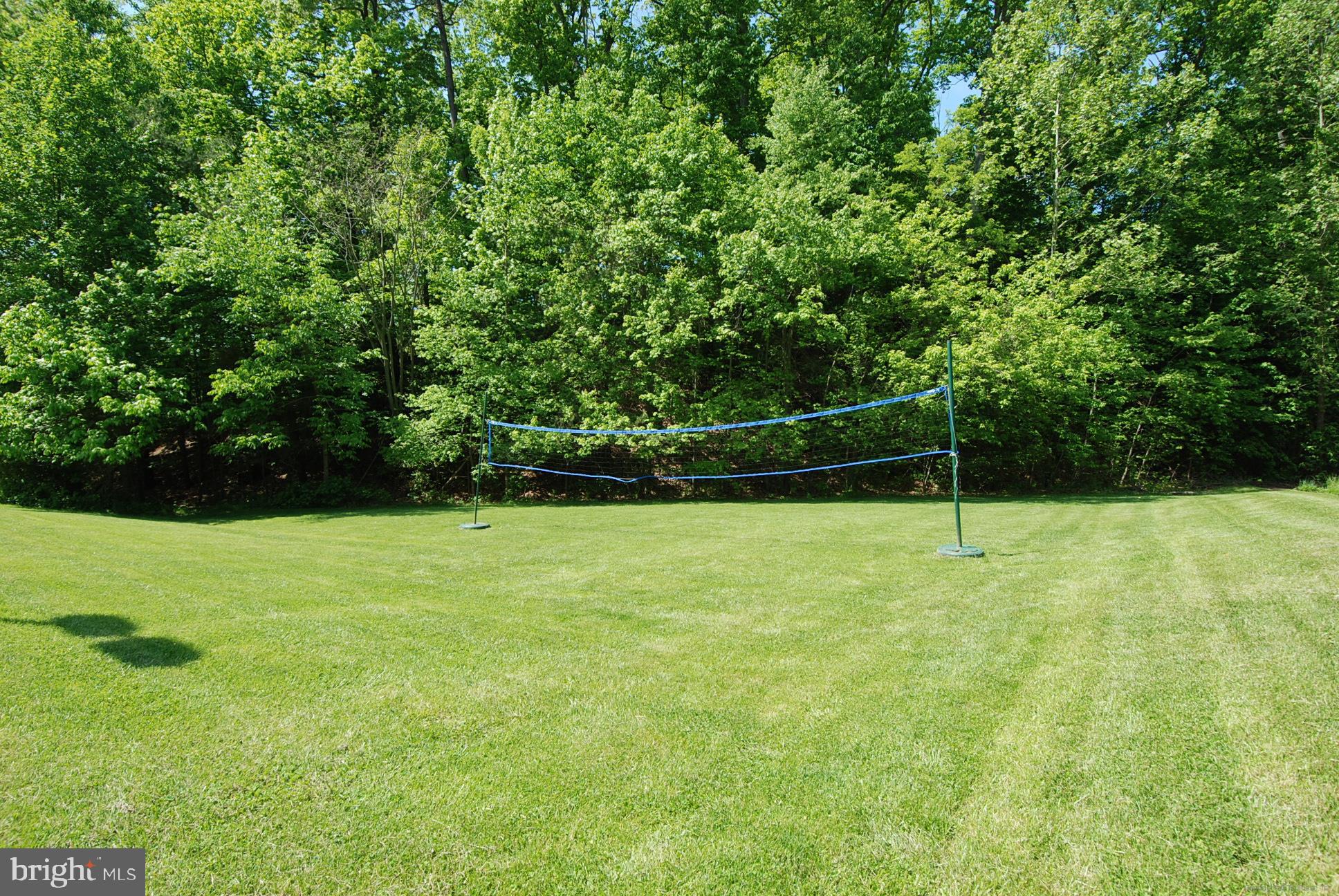 707 Hartford Road Davidsonville, MD 21035 - Photo 78 of 95 Volley ball area