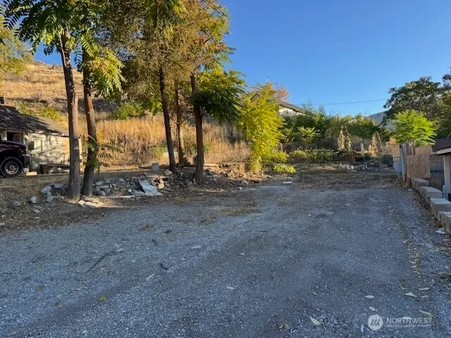 a view of a yard with a tree