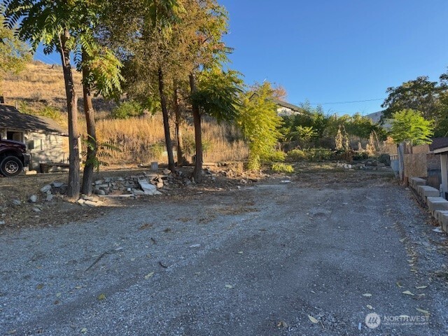 a view of a yard with a tree