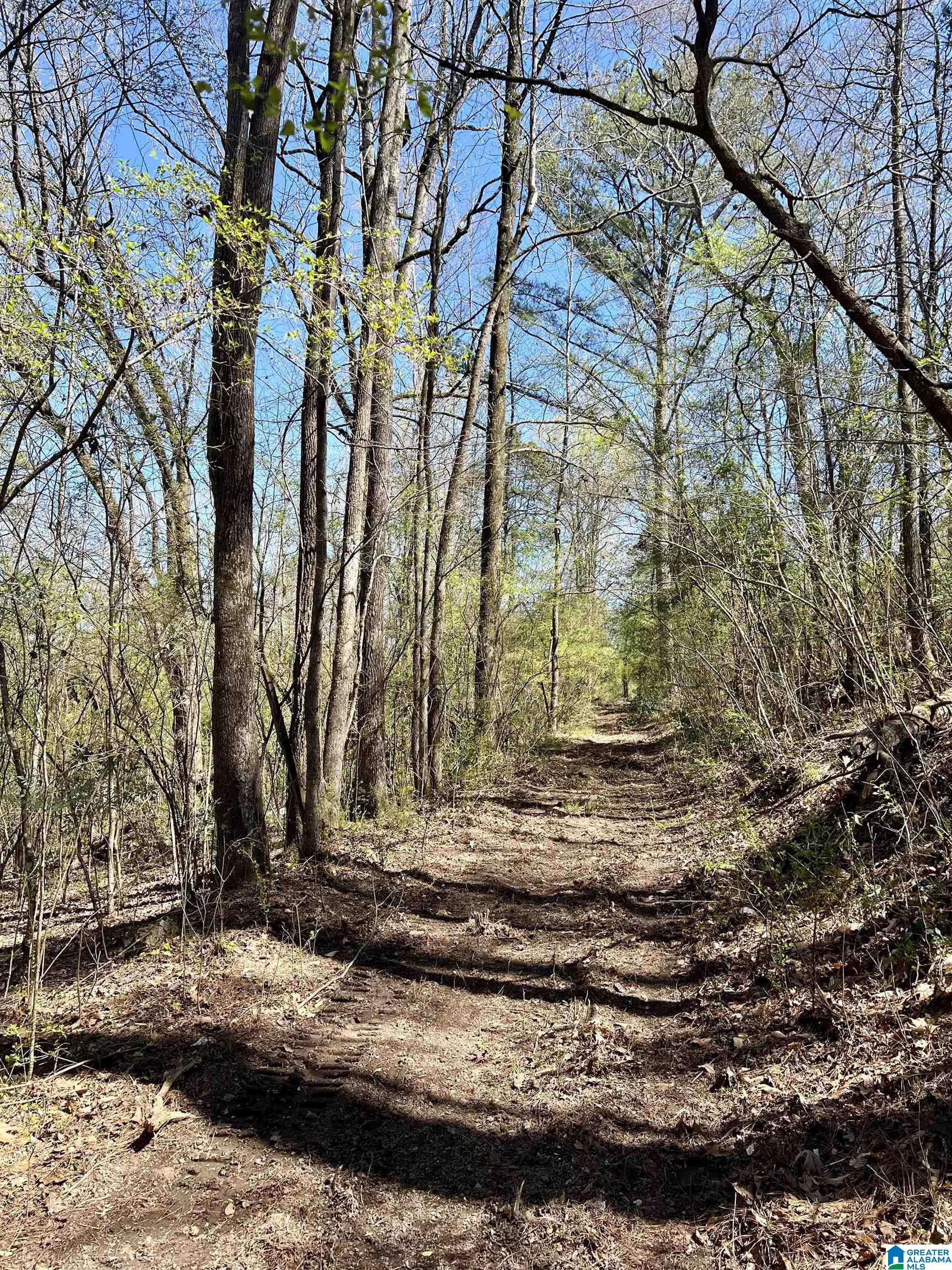 6478 Red Hollow Road, Unit 240 Birmingham, AL 35215 - Photo 20 of 38